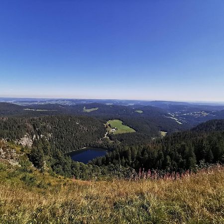 Fewo 1 - Residenz Schauinsland - Mit Sauna, E-Ladestation, Todtnauberg, Bei Feldberg Экстерьер фото