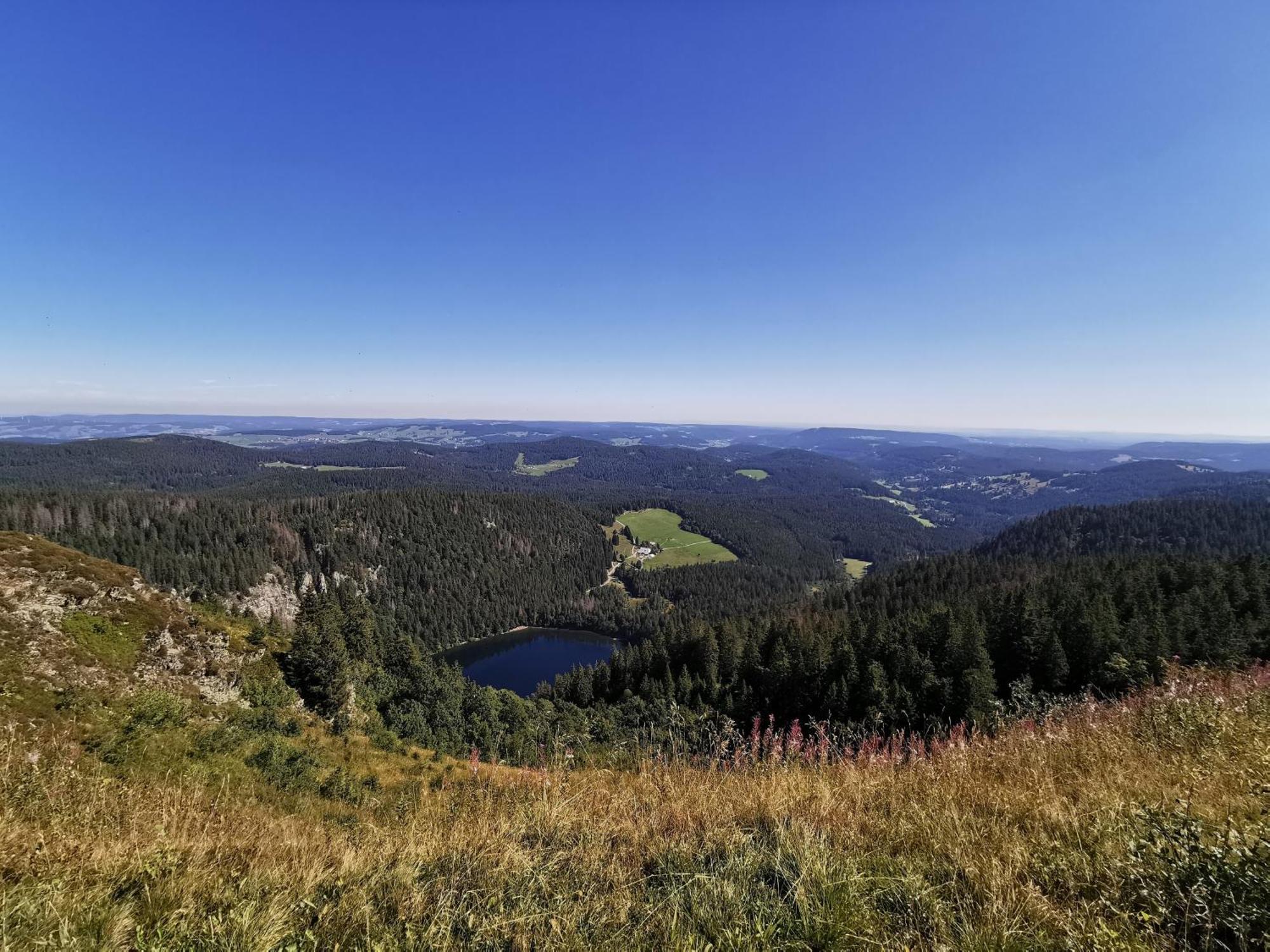 Fewo 1 - Residenz Schauinsland - Mit Sauna, E-Ladestation, Todtnauberg, Bei Feldberg Экстерьер фото