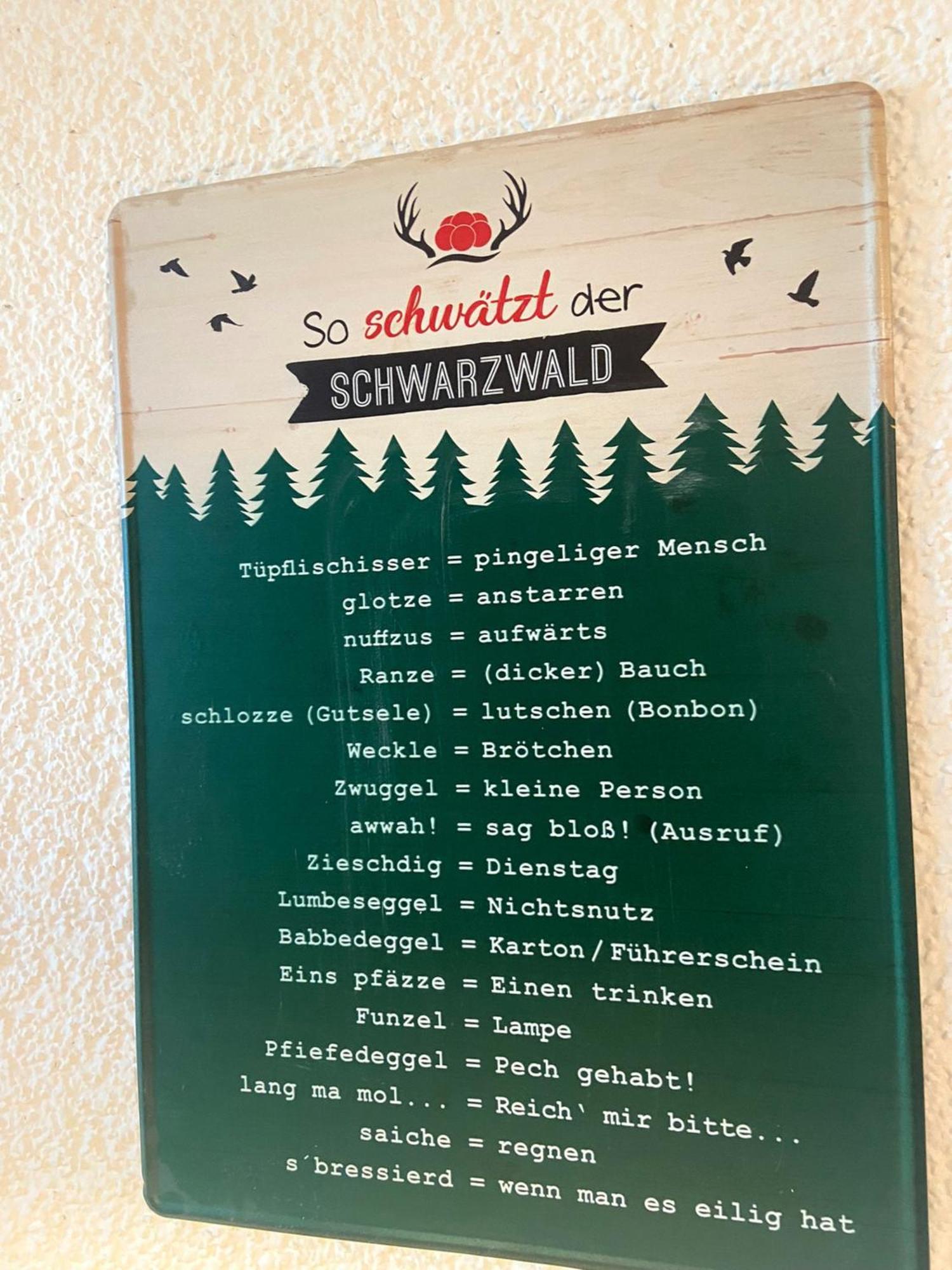 Fewo 1 - Residenz Schauinsland - Mit Sauna, E-Ladestation, Todtnauberg, Bei Feldberg Экстерьер фото